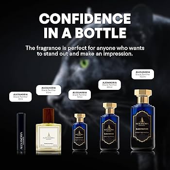 Amazon.com : Alexandria Fragrances Black Panther Perfume - Long