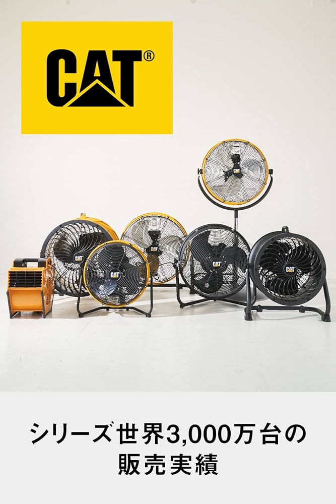 71aXbCCHW5L._AC_UF894,