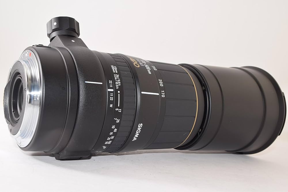 Amazon.co.jp: SIGMA シグマ APO 170-500mm F5-6.3 for Canon : 家電
