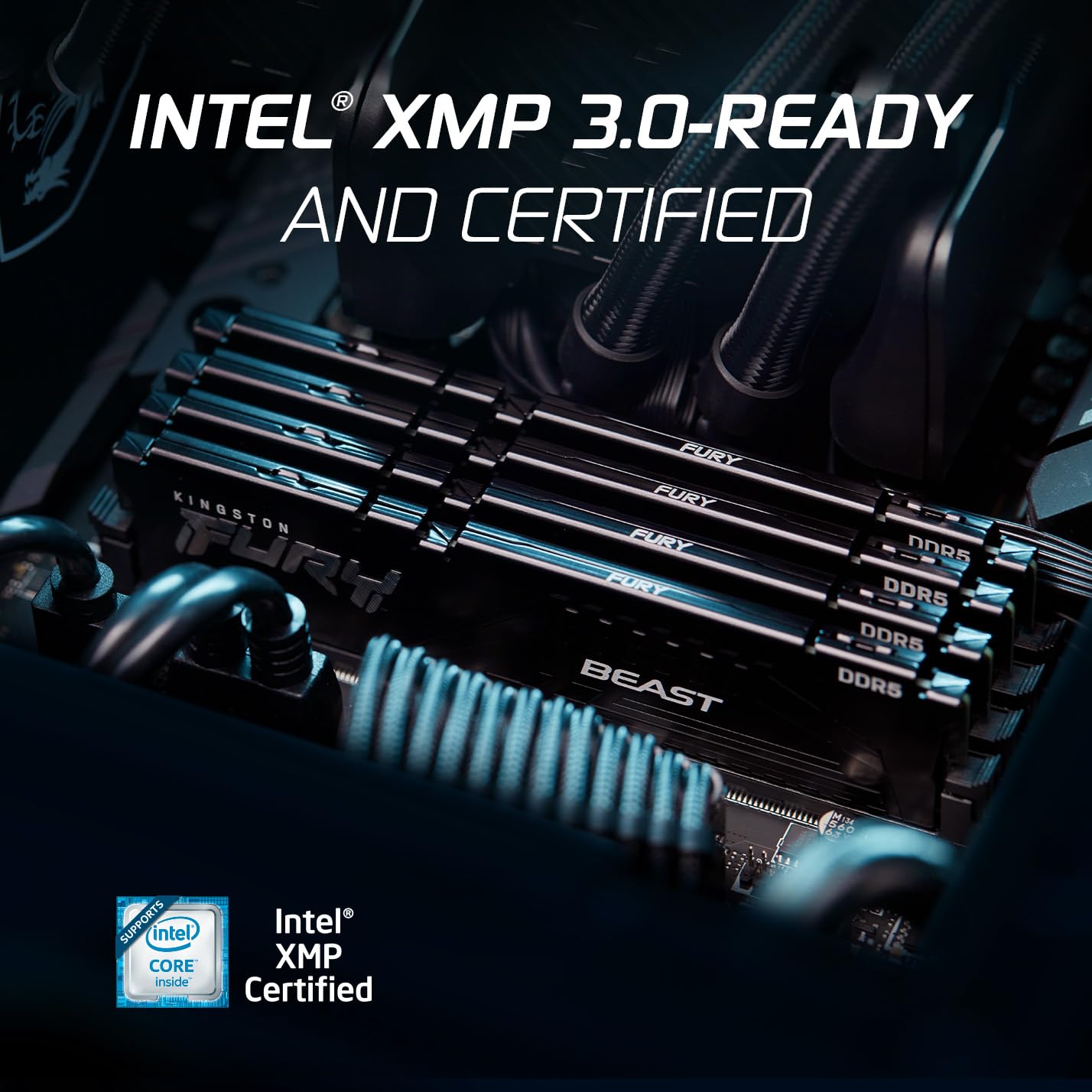 Amazon | Kingston FURY Beast ブラック DDR5 16GB 6000MT/s CL36 DIMM