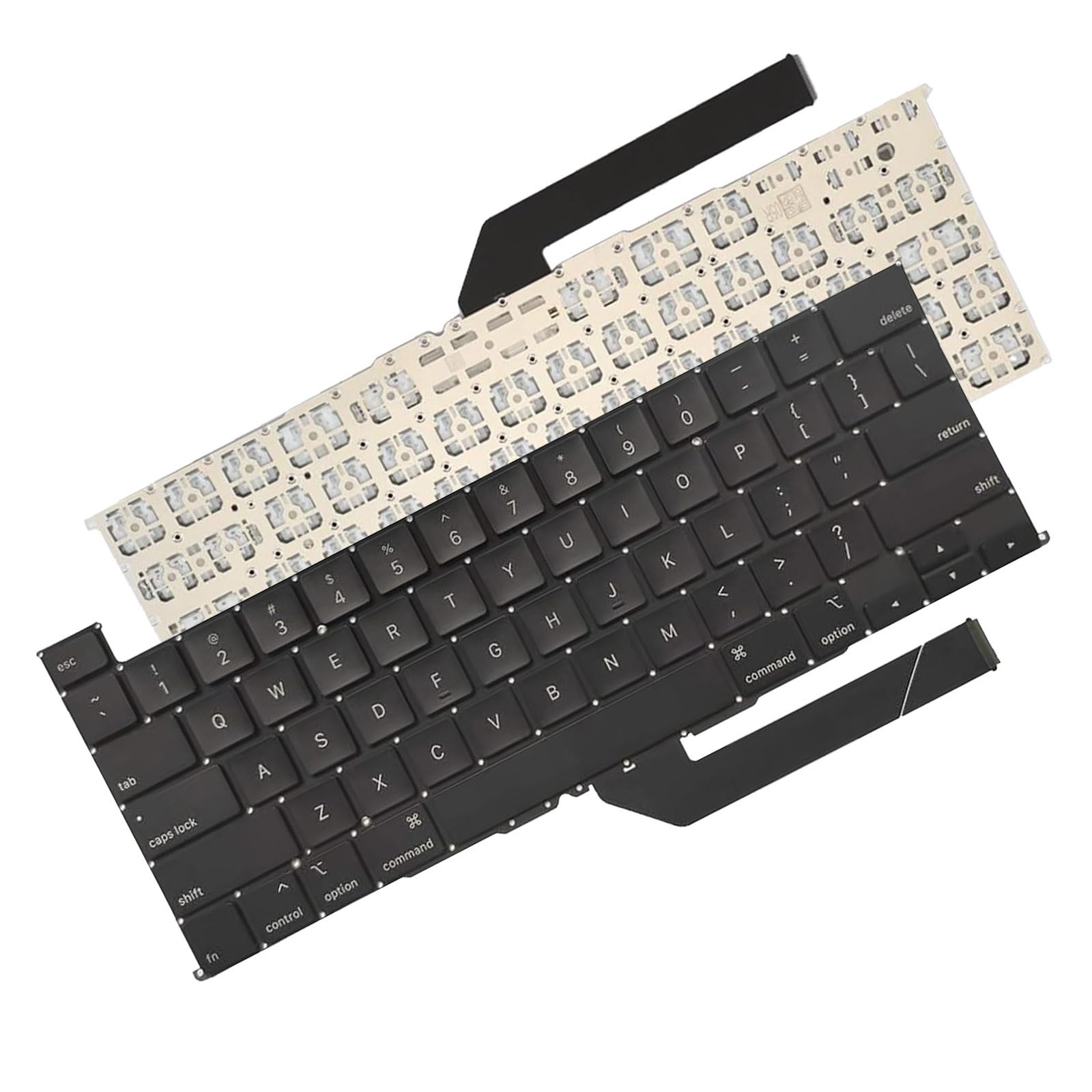 Amazon.com: New US Keyboard with Flex Cable + Screw Kit