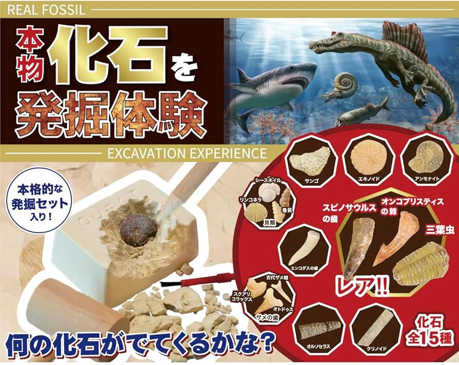 Amazon | 触れる図鑑コレクション 化石発掘体験/本物の化石が入った