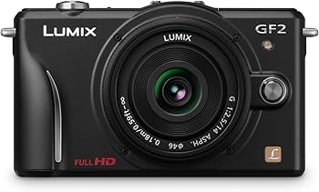 Amazon.com : Panasonic Lumix DMC-GF2 12 MP Micro Four-Thirds