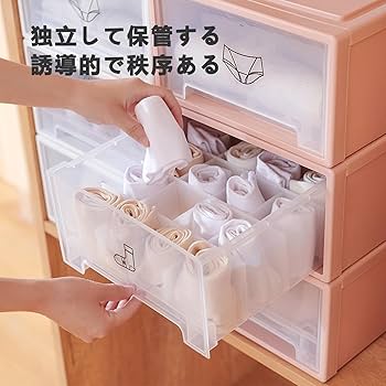 Amazon｜クローゼット 収納ケース・ボックス 下着収納ボックス 蓋付き