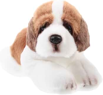 71bdYjkC4qL._AC_UF350,