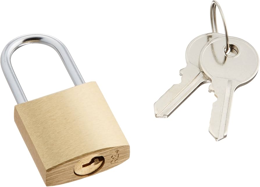 Amazon.co.jp: エレコム ピンタンブラー セキュリティロック 南京錠