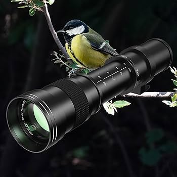 Amazon.co.jp: 望遠レンズ - ソニー用Eマウントレンズ 420-800mm f/8.3