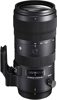 Amazon.com : Sigma 70-200mmF/2.8 DG OS HSM for Nikon F : Electronics
