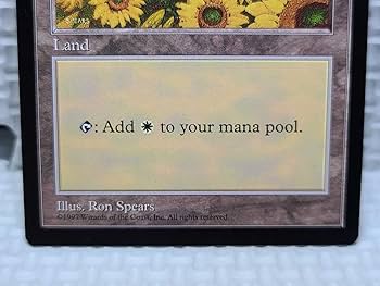 Amazon.co.jp: MTG APAC ランド ひまわり 平地① Plains Ron spears