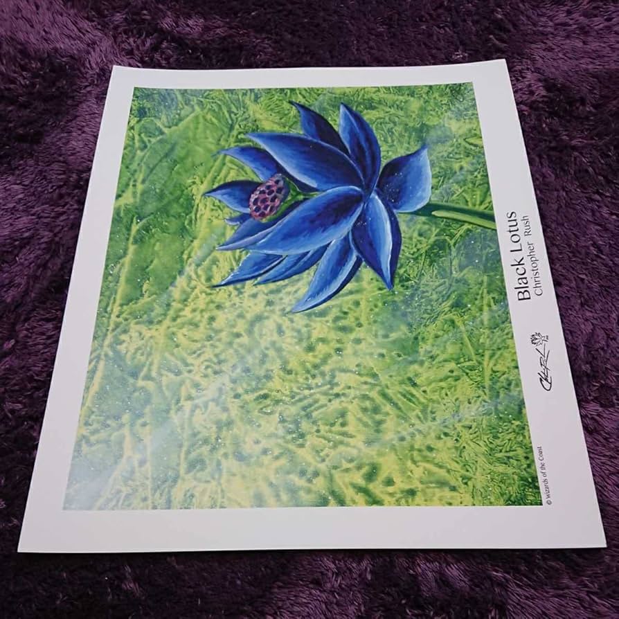 Amazon.co.jp: 大判《Black Lotus》Christopher Rush 証明書付 サイン