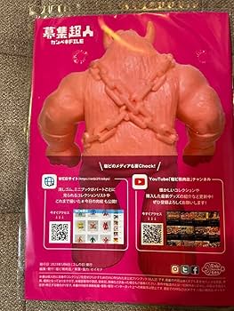 Amazon.co.jp: 募集超人カンペキFile 幻のキン消しlist : おもちゃ