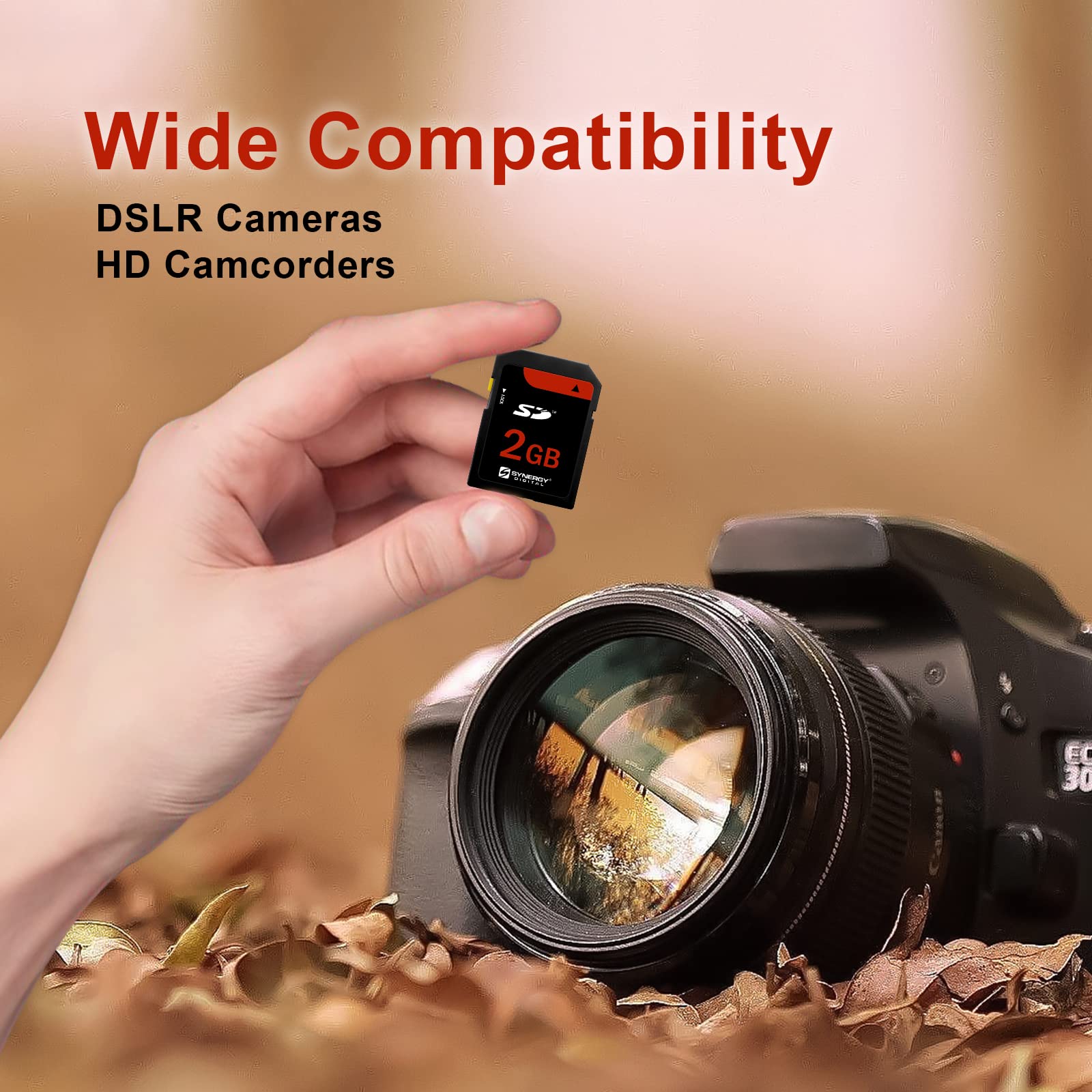 Amazon.com: Pentax Optio M60 Digital Camera Memory Card 2GB