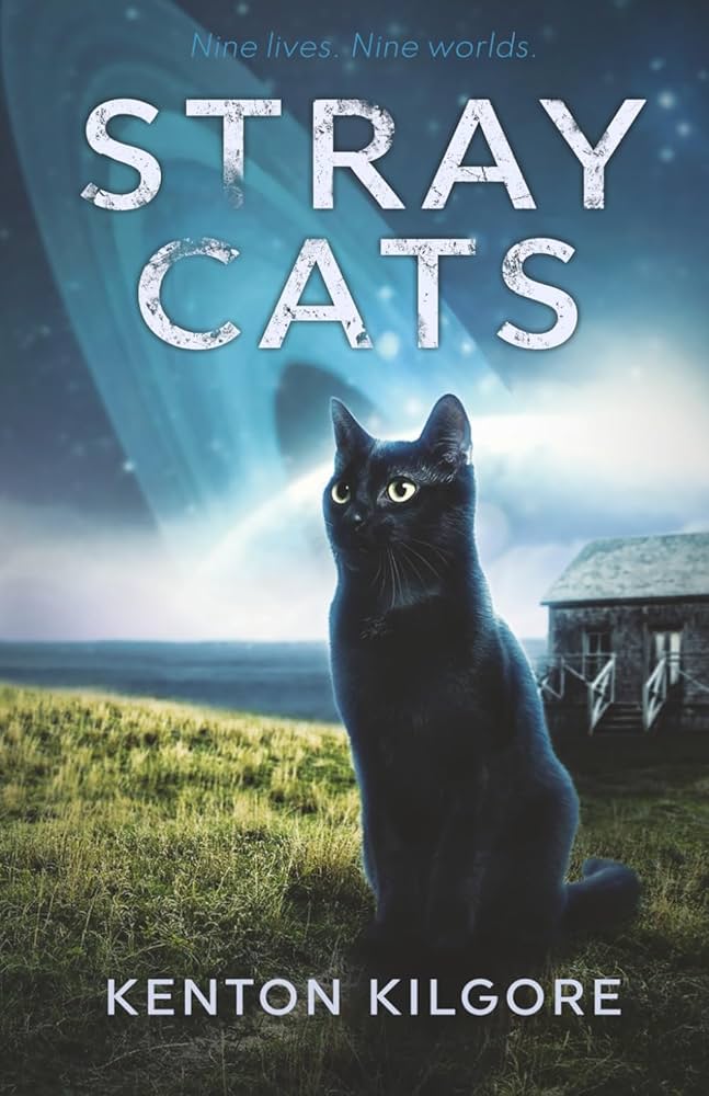 Amazon.com: Stray Cats: 9798830901789: Kilgore, Kenton: Books