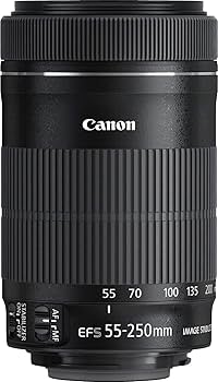 Amazon.co.jp: Canon レンズ EF-S55-250mm F4-5.6 IS STM : 家電＆カメラ