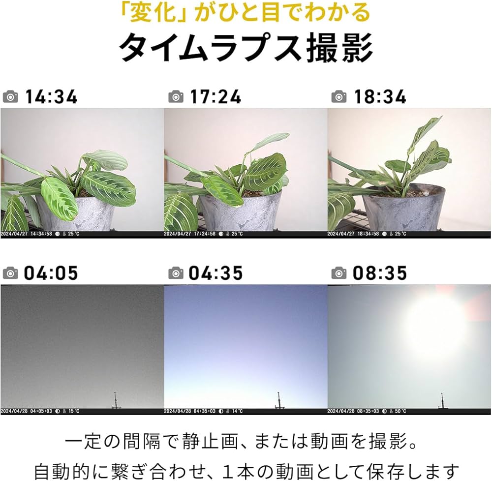Amazon.co.jp: サンワダイレクト タイムラプスカメラ 4K対応