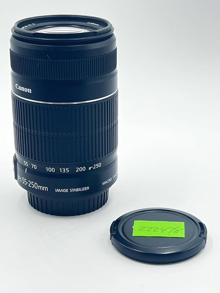 Amazon.com : Canon EF-S 55-250mm f/4.0-5.6 is II Telephoto Zoom