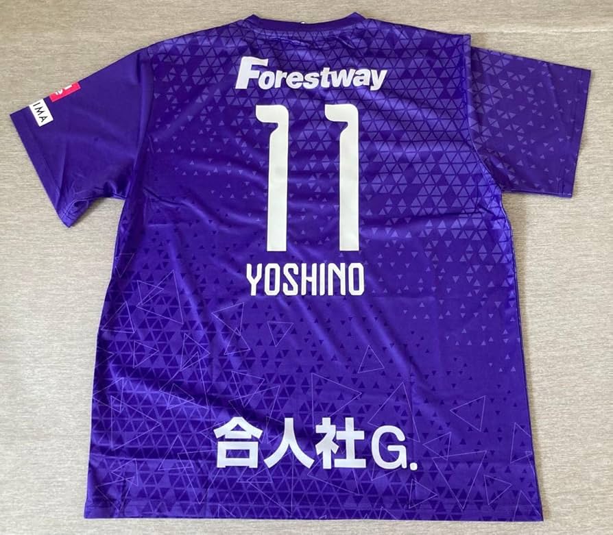 Amazon.co.jp: サンフレッチェ広島レジーナ 24-25 コンフィットTシャツ