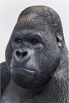 71eb-HnQKQL._AC_UF350,