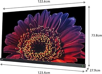 Amazon.co.jp: レグザ 55V型 有機ELテレビ 55X9400 4Kチューナー内蔵