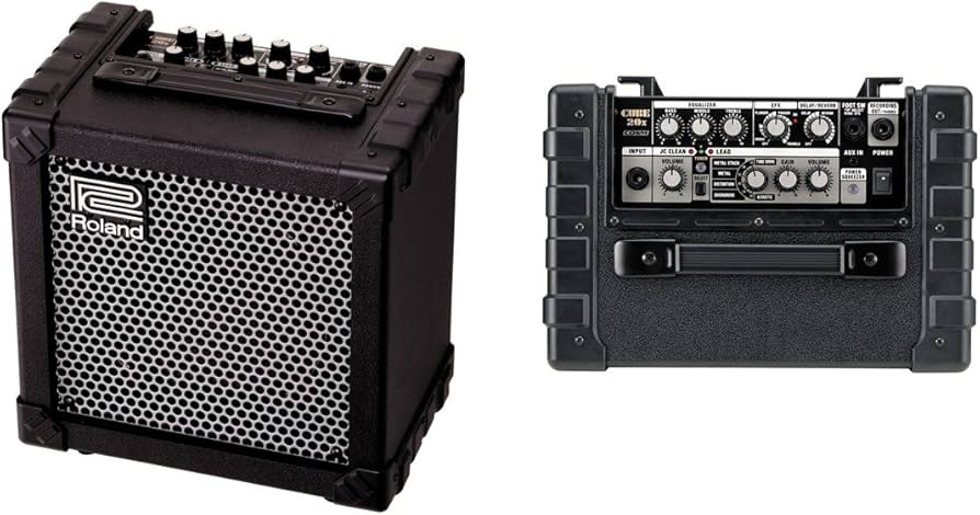 Amazon.co.jp: Roland アンプ/スピーカー CUBE-Xシリーズ CUBE-20X
