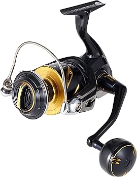 Shimano Reel 19 Stella SW 8000 HG : Amazon.com.au: Sports, Fitness