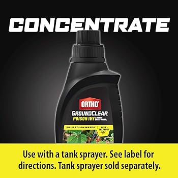 Amazon.com: Ortho GroundClear Poison Ivy and Tough Brush Killer1