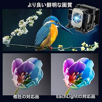 Amazon.co.jp: EachLight ELPLP48 プロジェクター ランプ エプソン