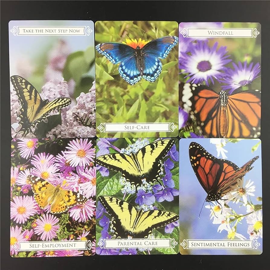 Amazon.co.jp: バタフライオラクルカード Butterfly Oracle Cards