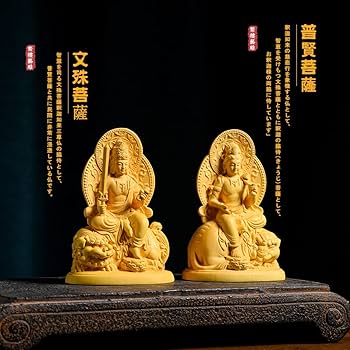 71ficC47w2L._AC_UF350,