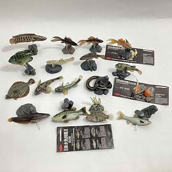 Amazon.co.jp: ユージン 原色淡水魚図鑑Ⅱ 改訂版 17種 シークレット