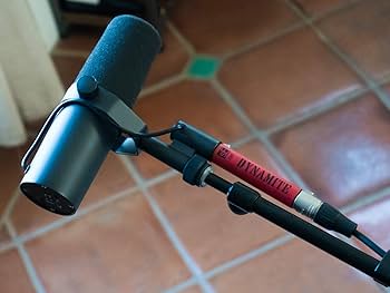 Amazon | sE Electronics DM1 DYNAMITE アクティブインラインマイク