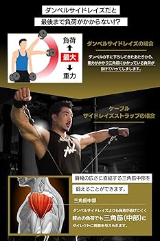 Amazon.co.jp: ALLOUT サイドレイズストラップ ケーブルマシン ジム