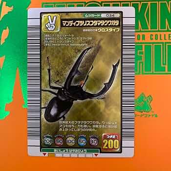 71gCrPBMpUL._AC_UF350,