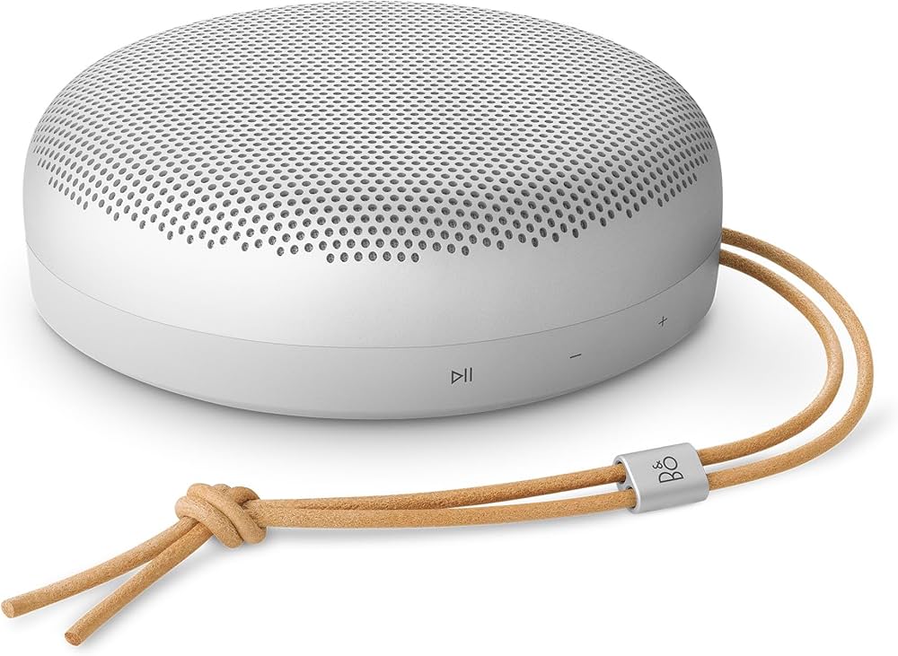 Amazon.com: Bang & Olufsen Beosound A1 3rd Gen Portable Waterproof