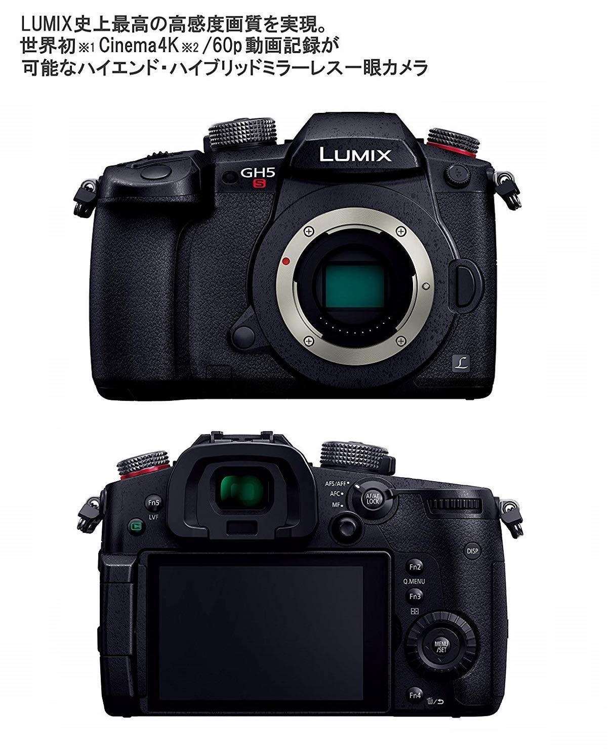 Amazon.co.jp: パナソニック ミラーレス一眼カメラ ルミックス GH5S