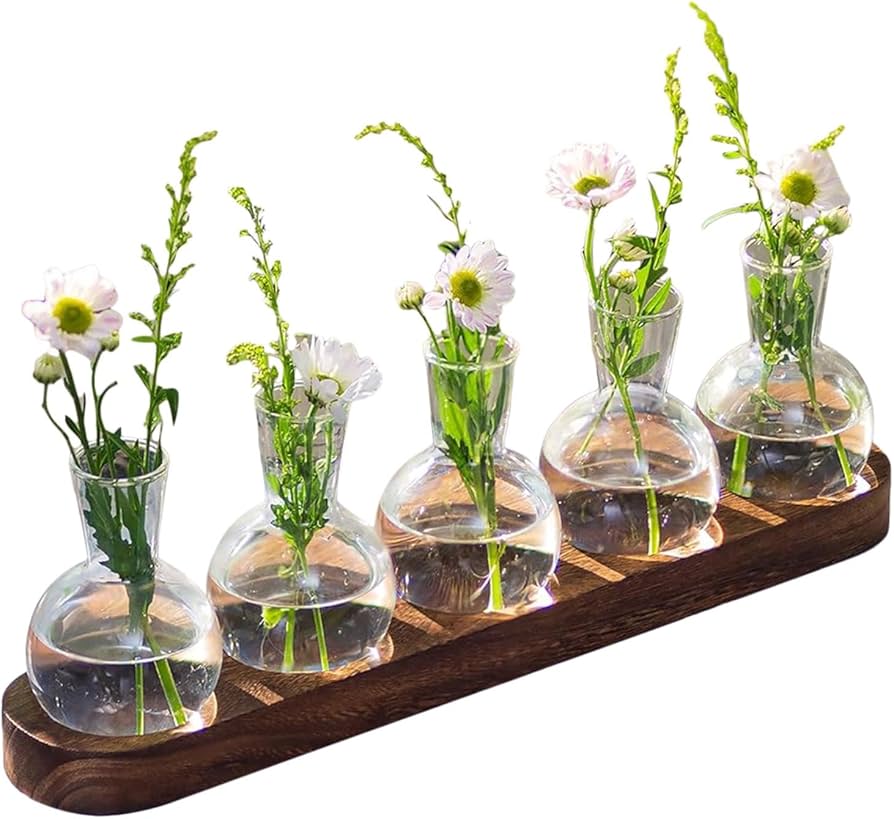 Amazon.co.jp: 水耕栽培 ポット フラスコ ガラス 花瓶 プランター 透明
