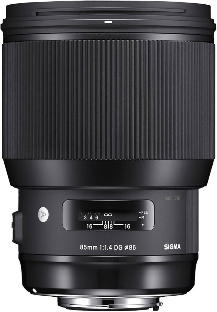 Amazon.com : 85mm F1.4 Art DG HSM for Sony E : Electronics