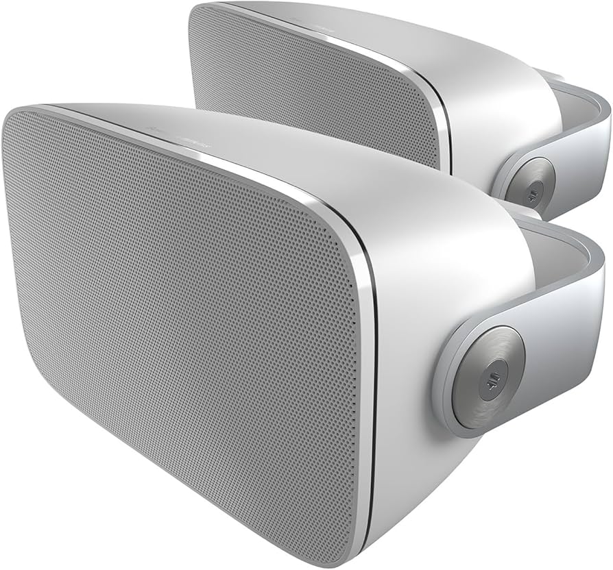 Amazon.co.jp: Bowers & Wilkins AM-1 アーキテクチャルモニター 耐候