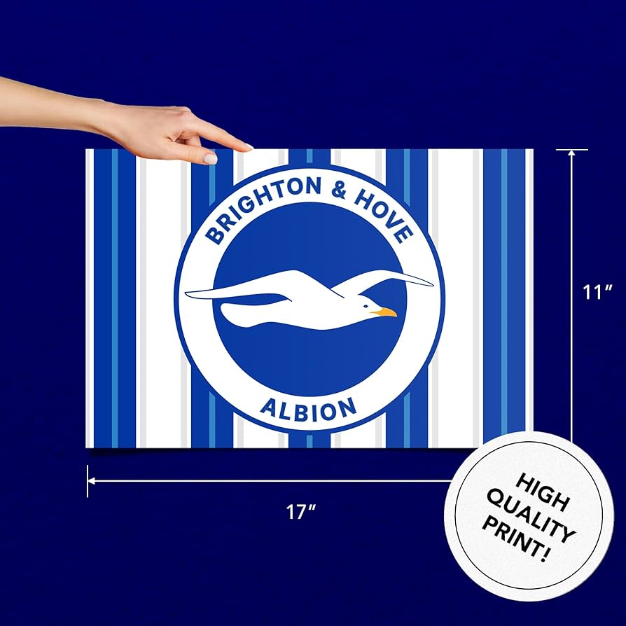 Amazon.com: Desert Cactus Brighton & Hove Albion Poster Football