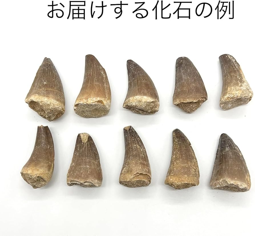 71hQC-htYiL._AC_UF894,