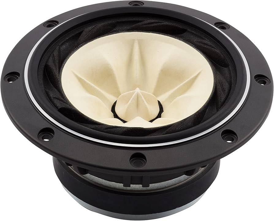 Amazon | Fostex 16cm バックロードホーン専用フルレンジユニット