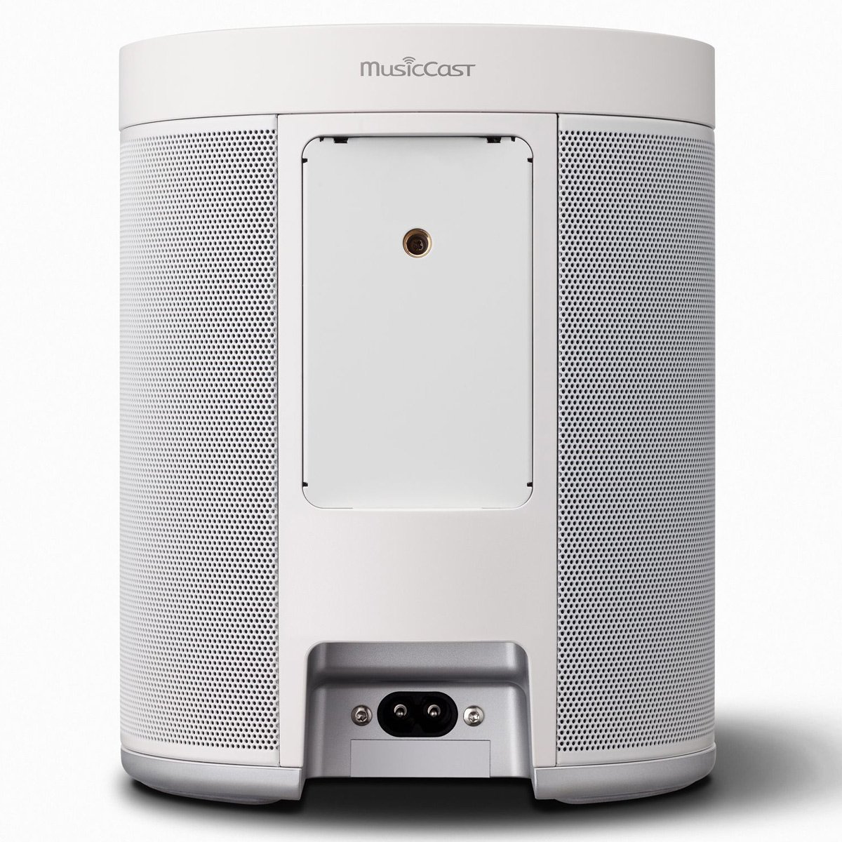 Amazon.com: YAMAHA WX-021 MusicCast 20 Wireless Speaker, Alexa