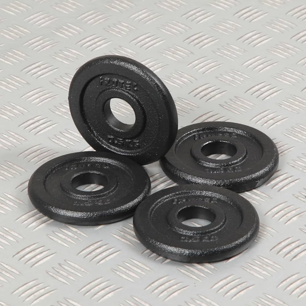 アイロテック 10kgプレート 2枚 28mm 用 iROTEC アイロテック プレート