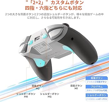 Amazon.co.jp: BIGBIG WON BLITZ2 TMR コントローラー 無線/有線接続
