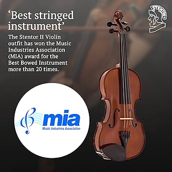 Amazon.com: Stentor, 4-String Violin, Brown,Red (1500 1/4