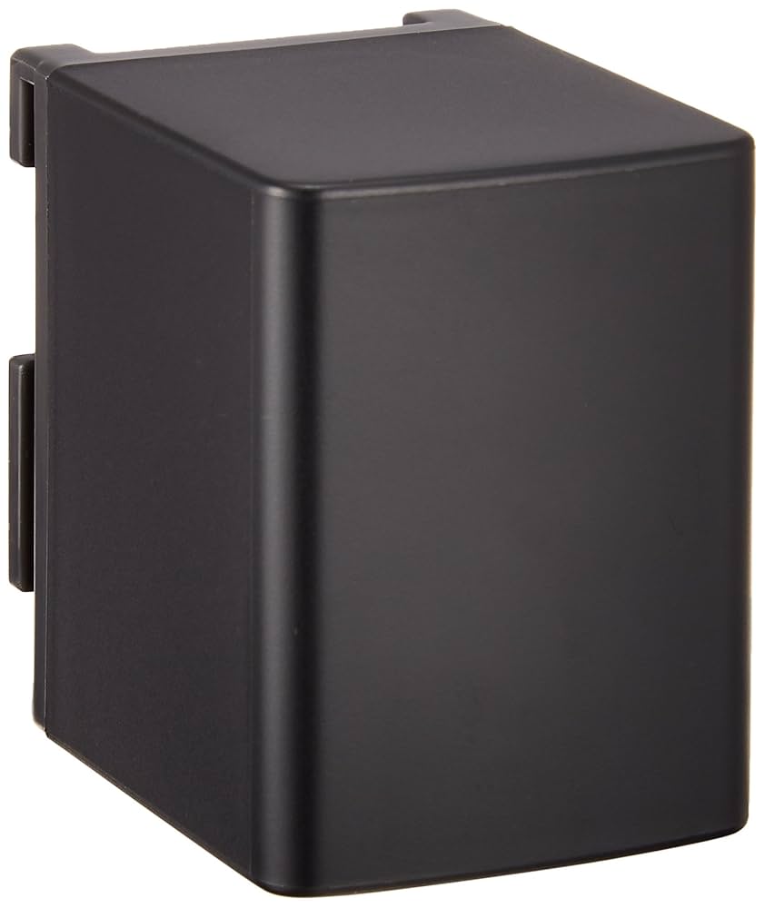 中古】キャノン iVIS HF M41 追加バッテリーBP-819D セット 中古