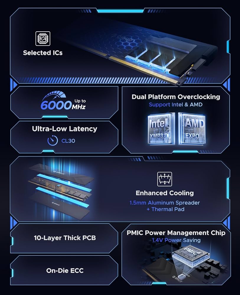 Amazon.co.jp: ORICO Raceline Champion DDR5 32GB(16GB×2) 6000MHz