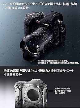 Amazon.co.jp: パナソニック ミラーレス一眼カメラ ルミックス GH5S