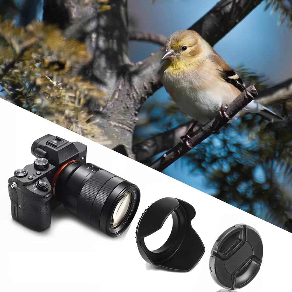 Amazon | レンズフード(シェード) Canon EF-S 55-250mm f/4-5.6 is II