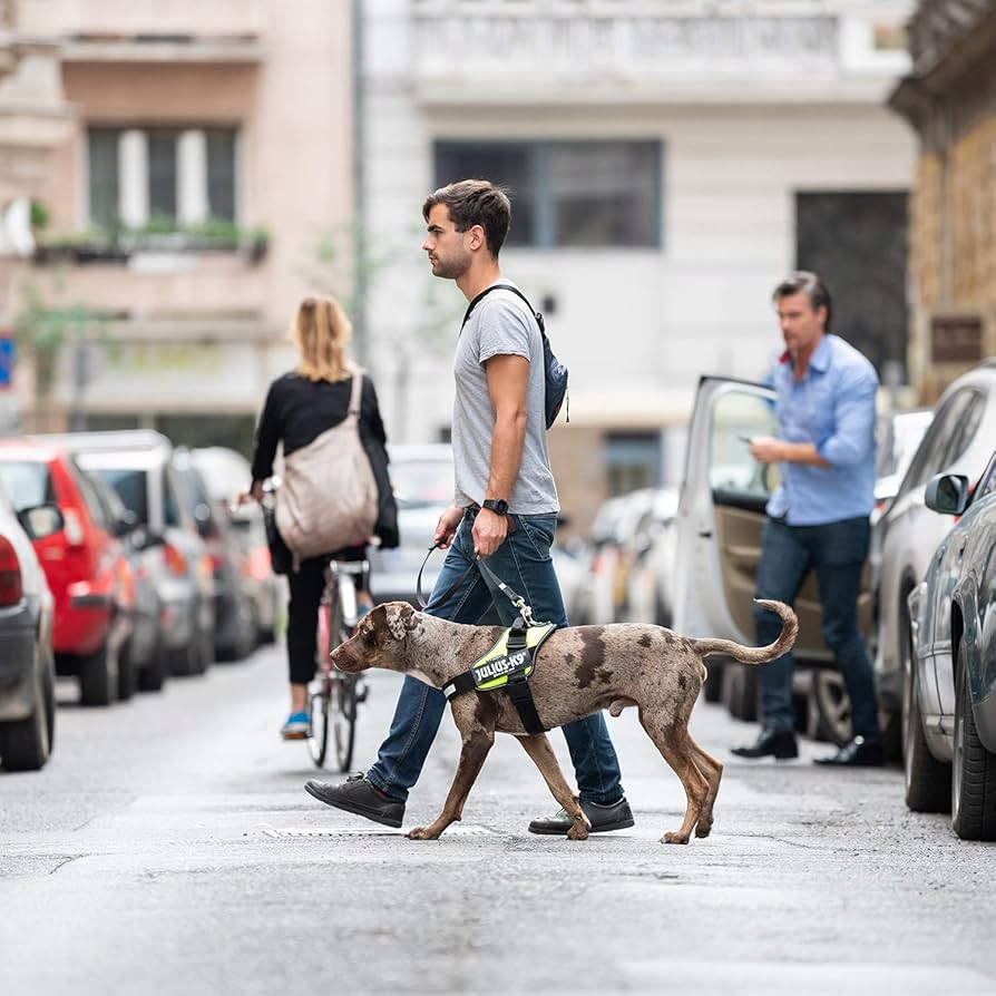 Amazon | IDCパワーハーネス, サイズ: XS/ミニミニ, レッド | ユリウス